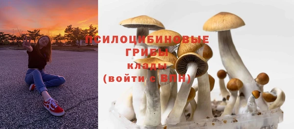 индика Алзамай
