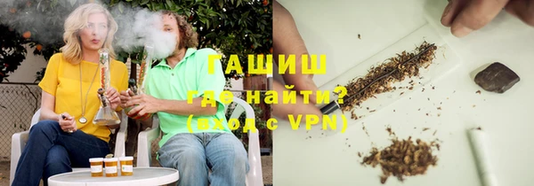 индика Алзамай