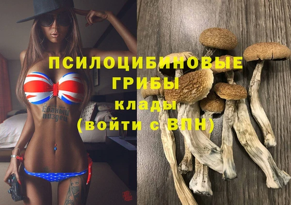 индика Алзамай