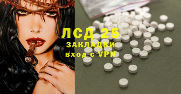 сатива Березники