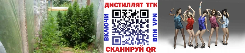 мега зеркало  где купить наркотик  Апатиты  Дистиллят ТГК концентрат 
