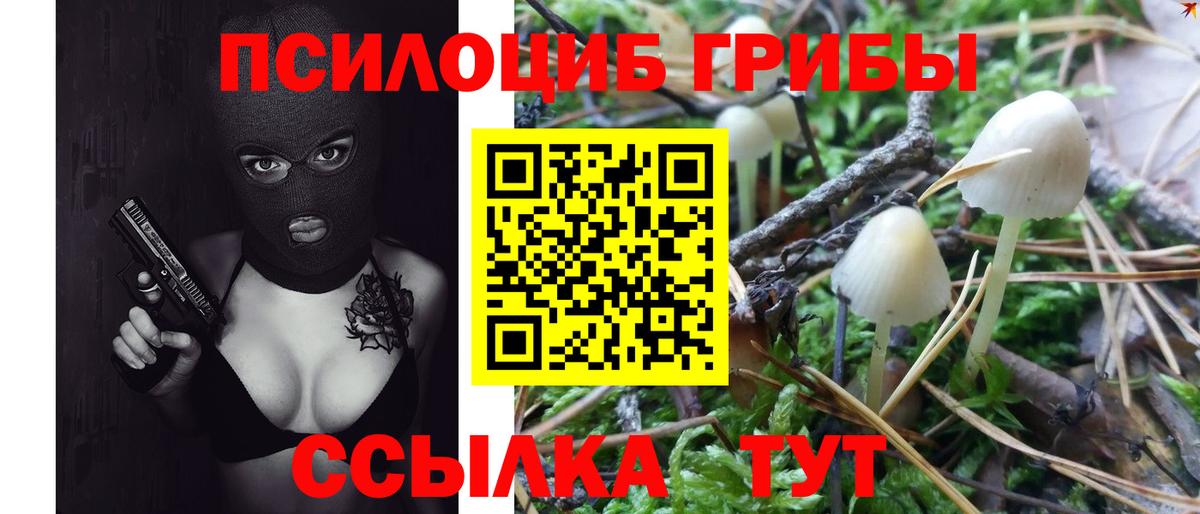 Апатиты  Псилоцибиновые грибы мицелий  Галлюциногенные грибы GOLDEN TEACHER  Вход с VPN 